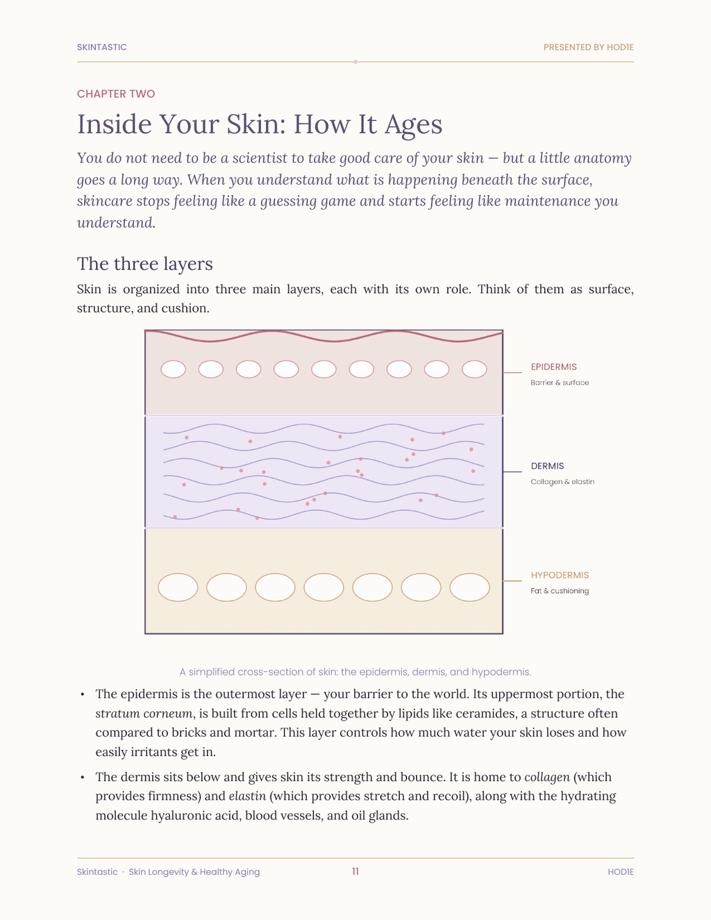 The Skintastic — Skin Longevity & Healthy Aging