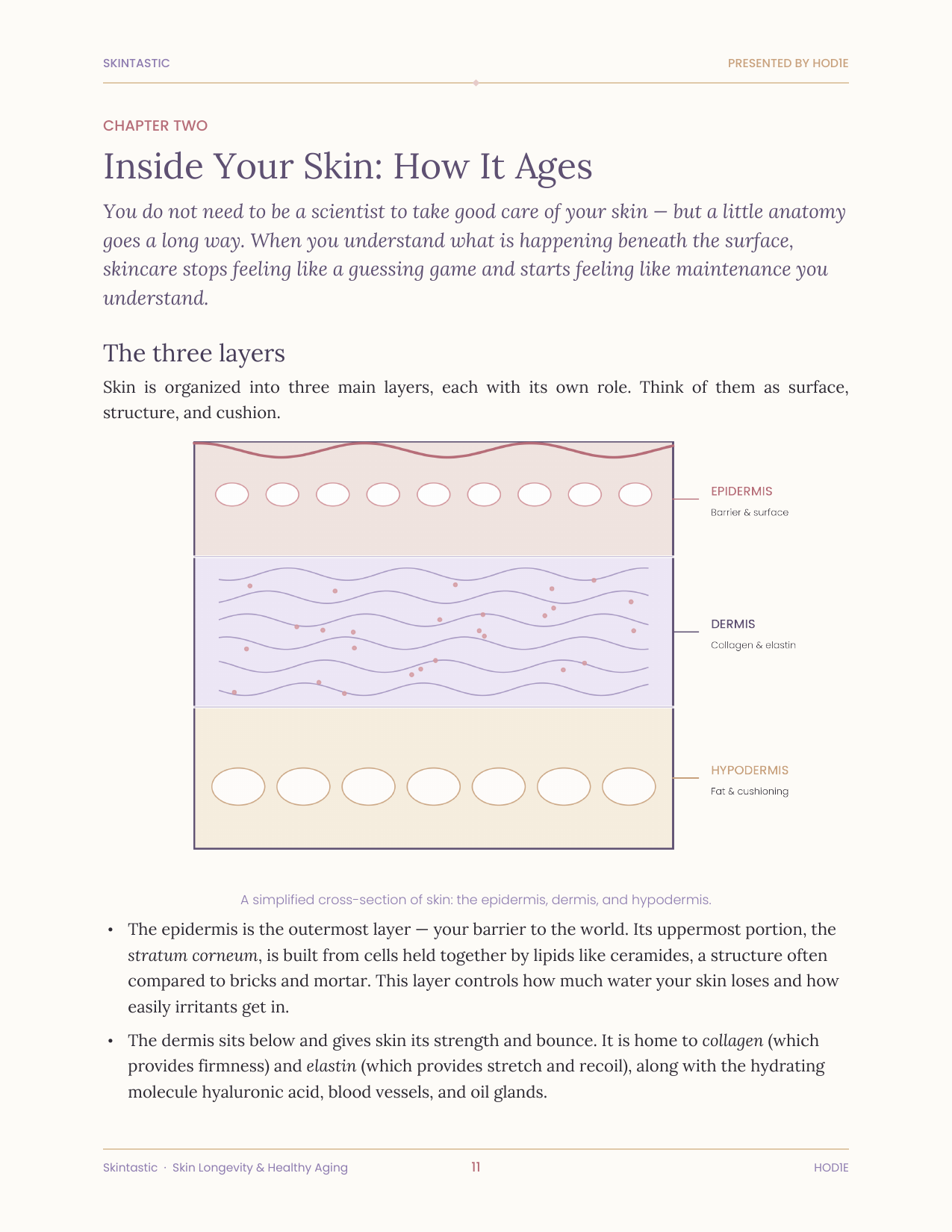 The Skintastic — Skin Longevity & Healthy Aging