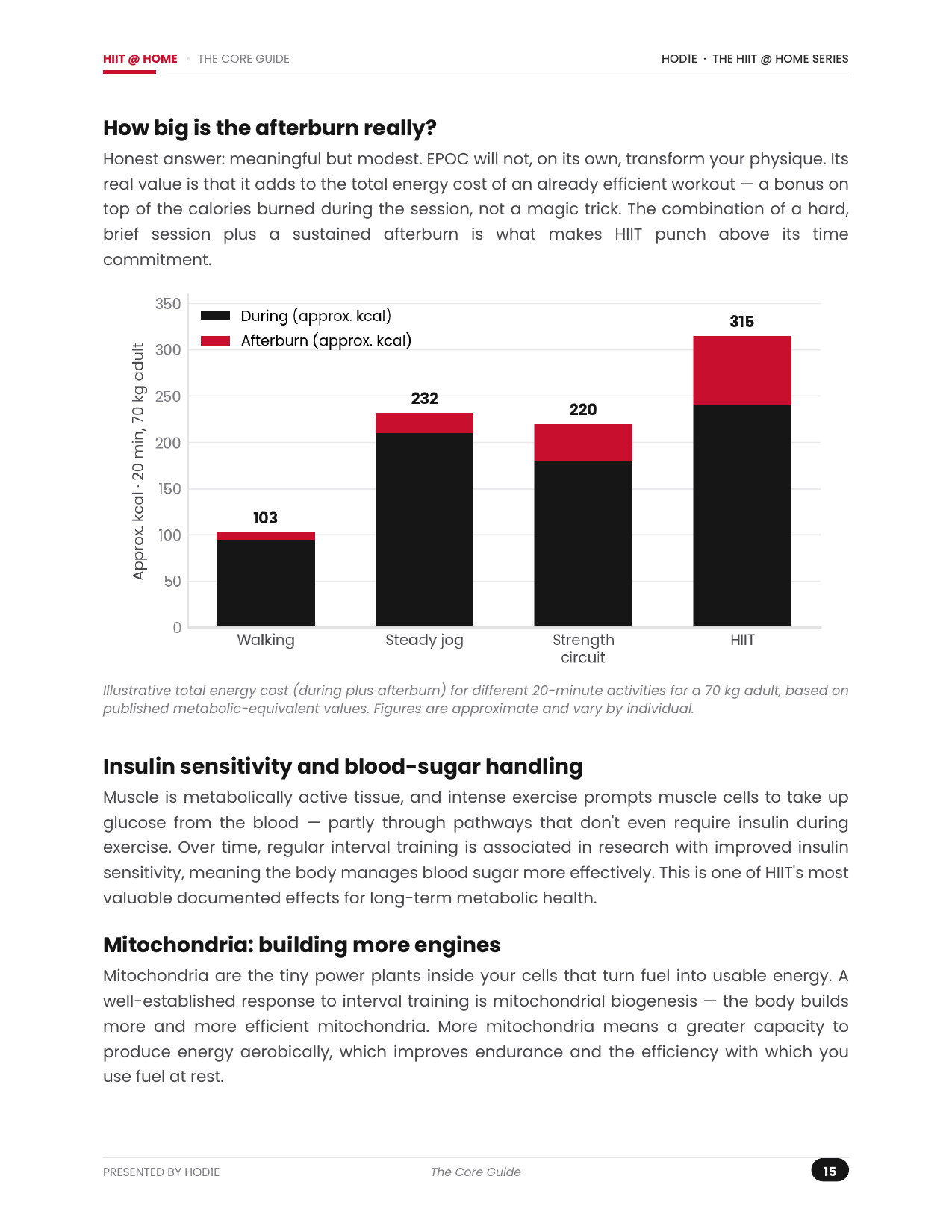 HIIT @ HOME - The Complete At-Home Conditioning System