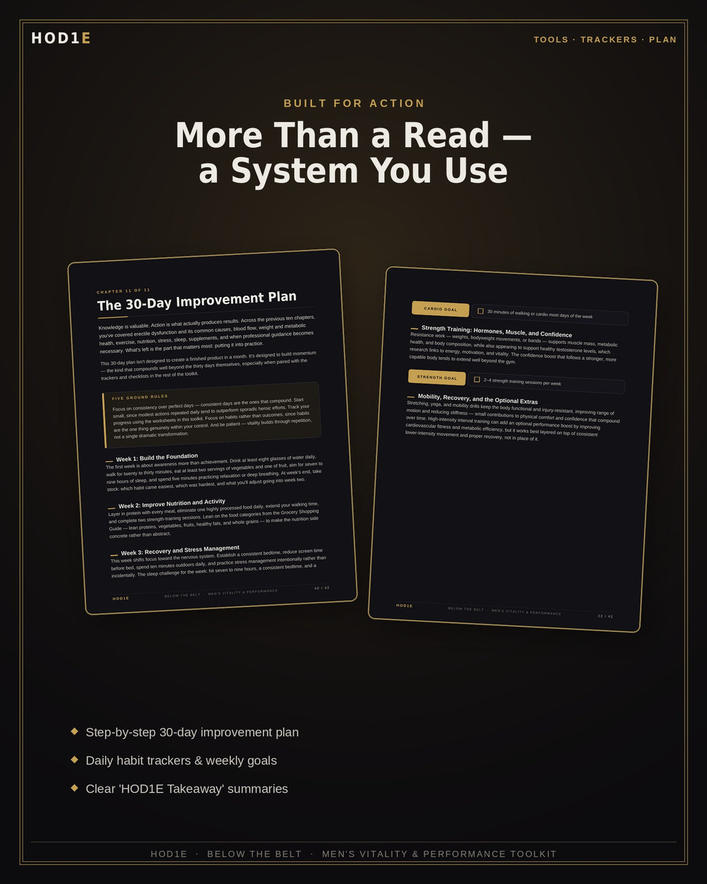 Below The Belt: Men’s Vitality & Performance Toolkit