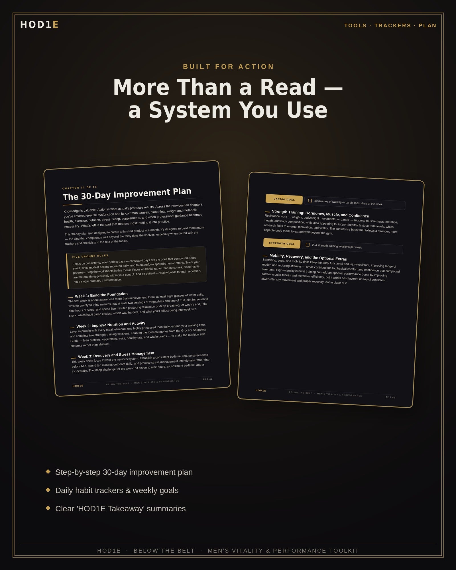Below The Belt: Men’s Vitality & Performance Toolkit