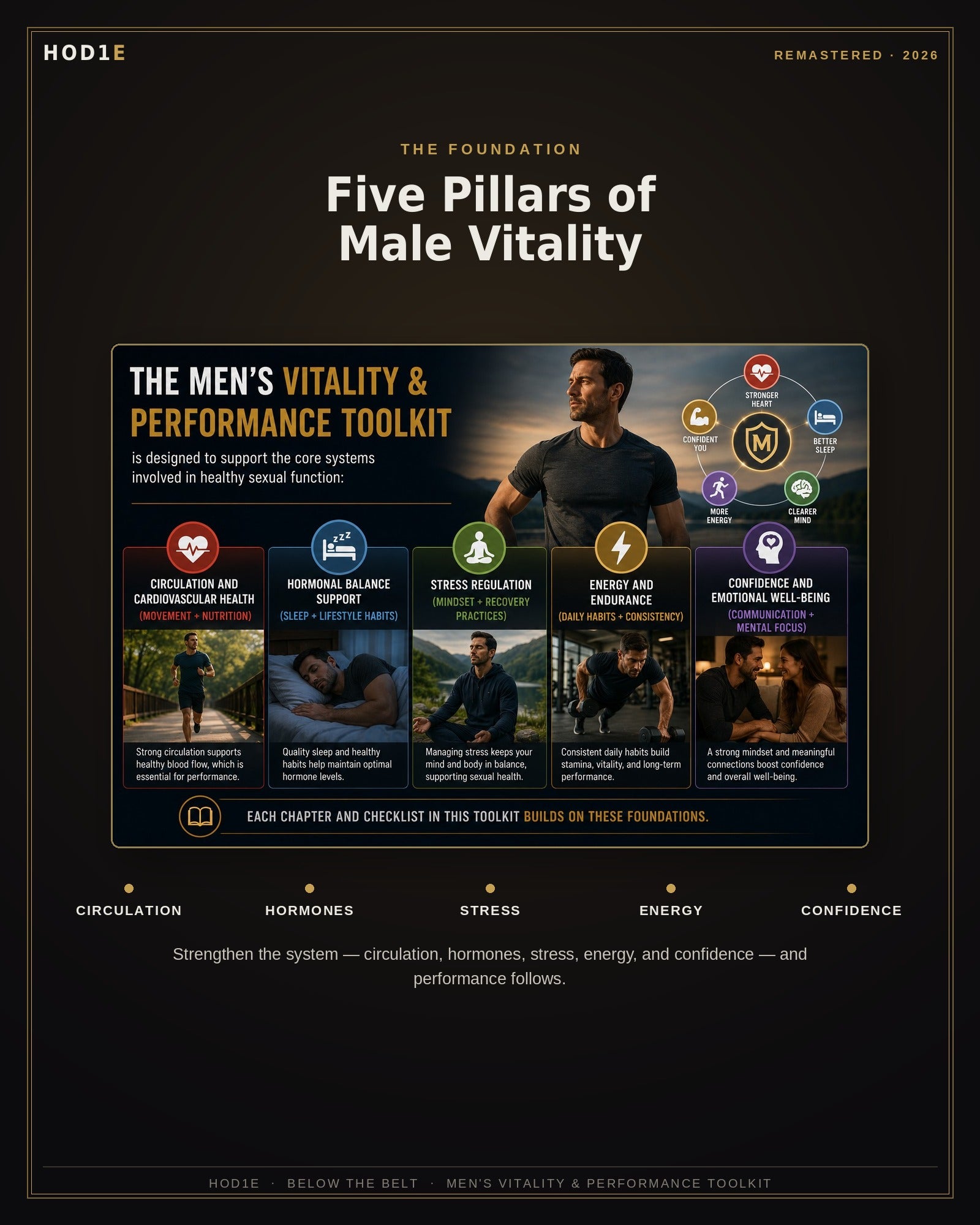 Below The Belt: Men’s Vitality & Performance Toolkit