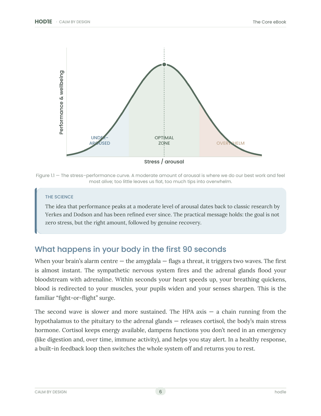 Calm By Design - The Complete Stress-Management Series