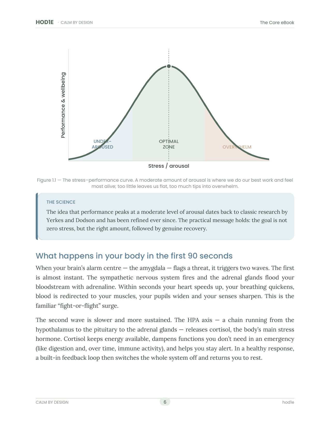 Calm By Design - The Complete Stress-Management Series