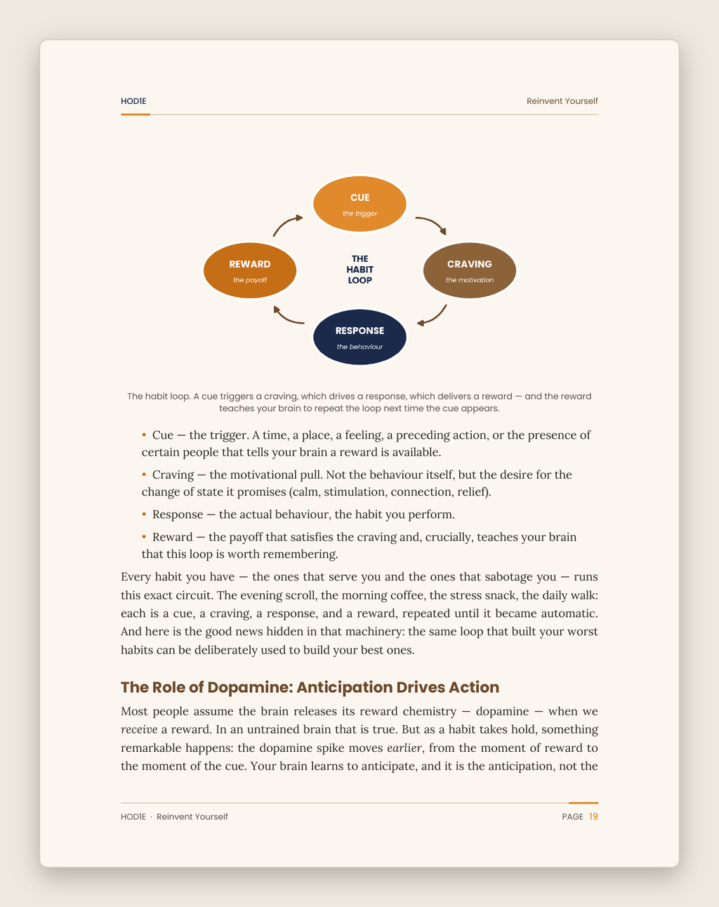 Reinvent Yourself - The Complete Habit Building System