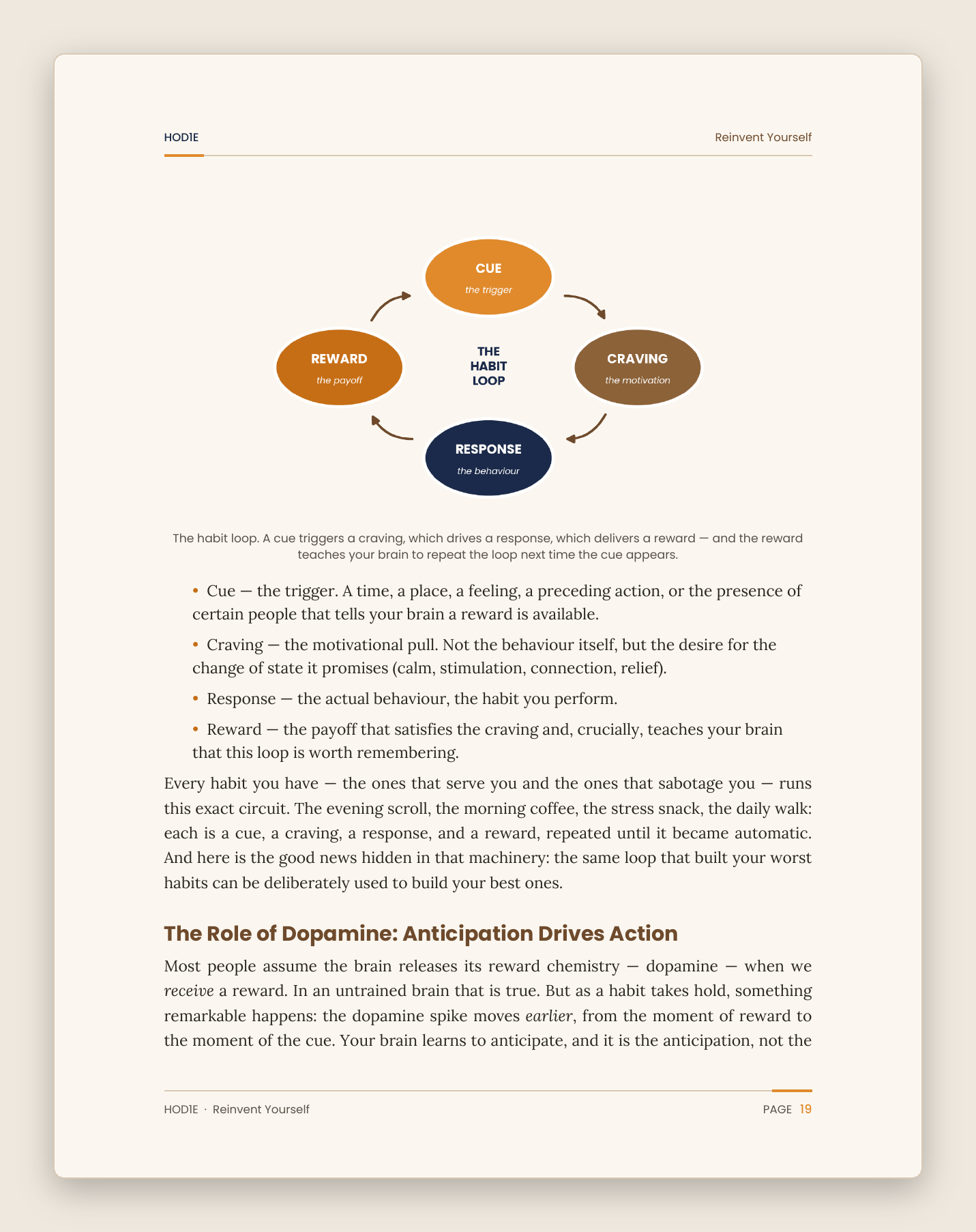 Reinvent Yourself - The Complete Habit Building System