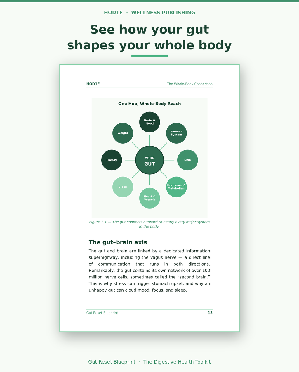 Gut Reset Blueprint: The Complete Digestive Health Toolkit