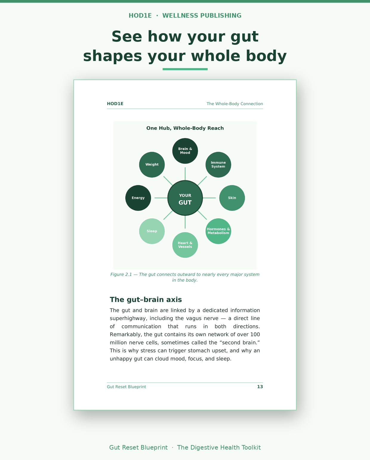 Gut Reset Blueprint: The Complete Digestive Health Toolkit