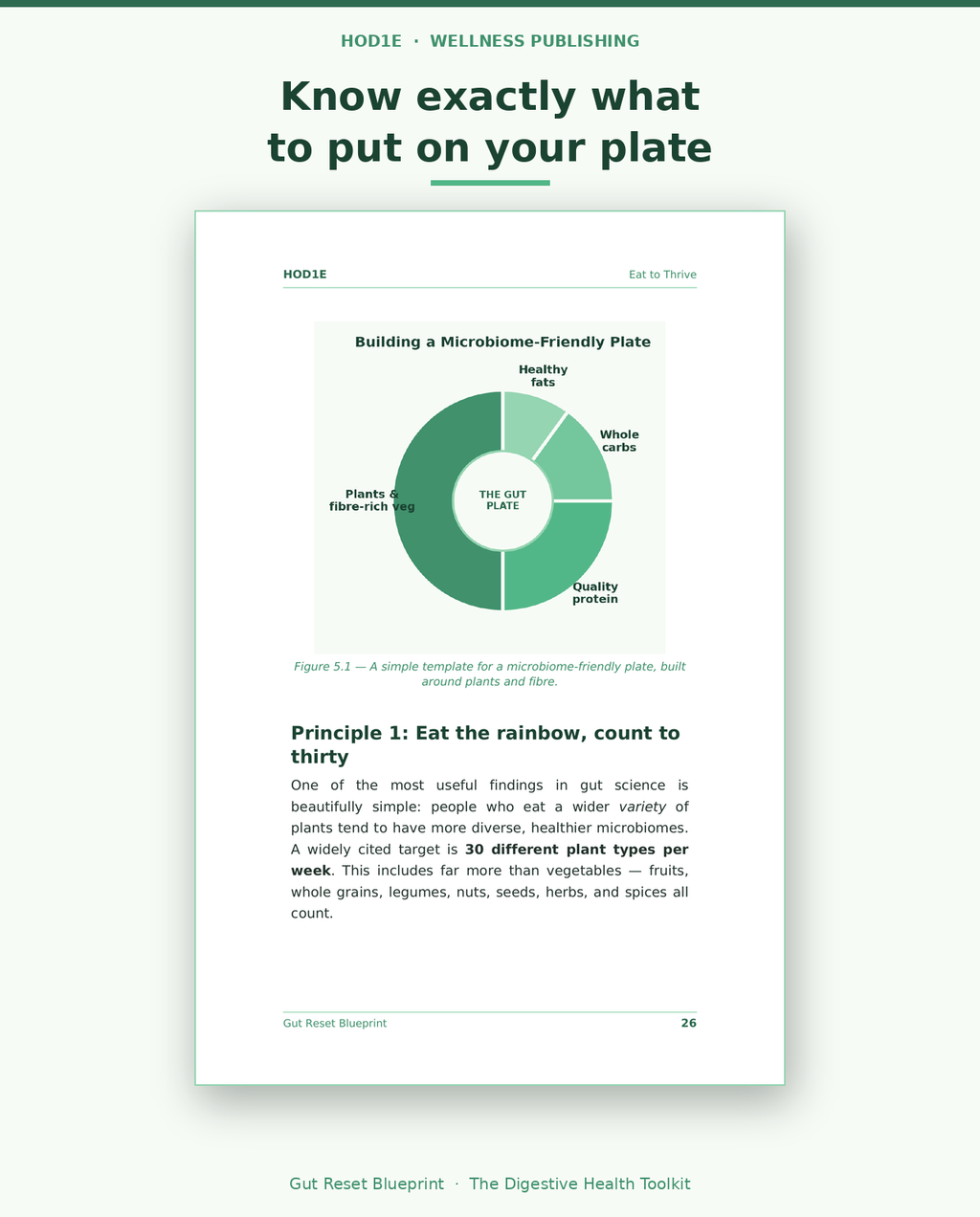Gut Reset Blueprint: The Complete Digestive Health Toolkit
