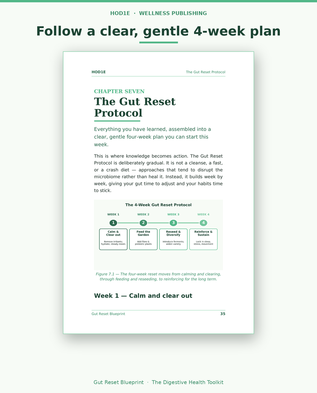Gut Reset Blueprint: The Complete Digestive Health Toolkit
