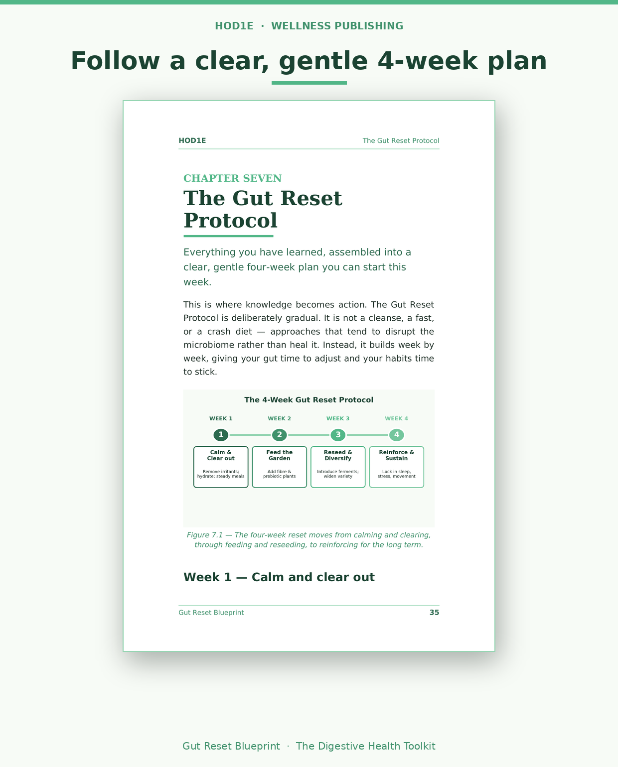 Gut Reset Blueprint: The Complete Digestive Health Toolkit